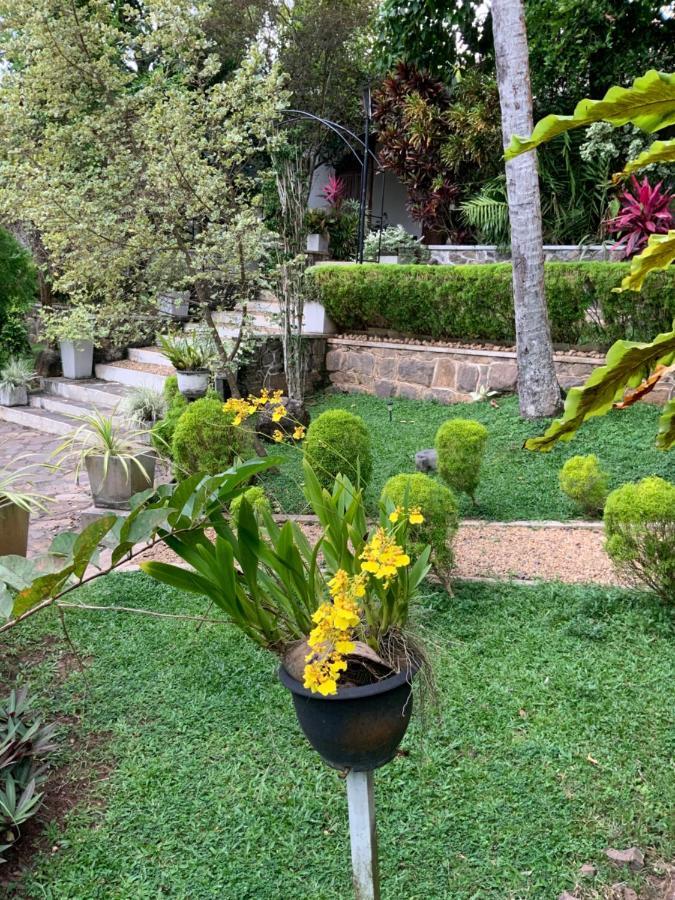 Lali Villa & Fruit Garden Galle Exterior photo