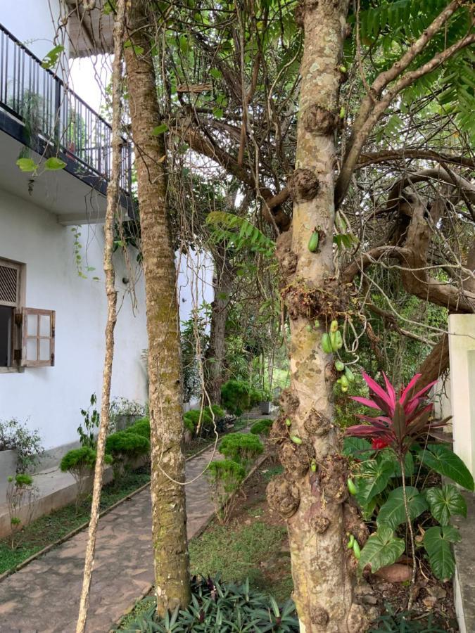 Lali Villa & Fruit Garden Galle Exterior photo