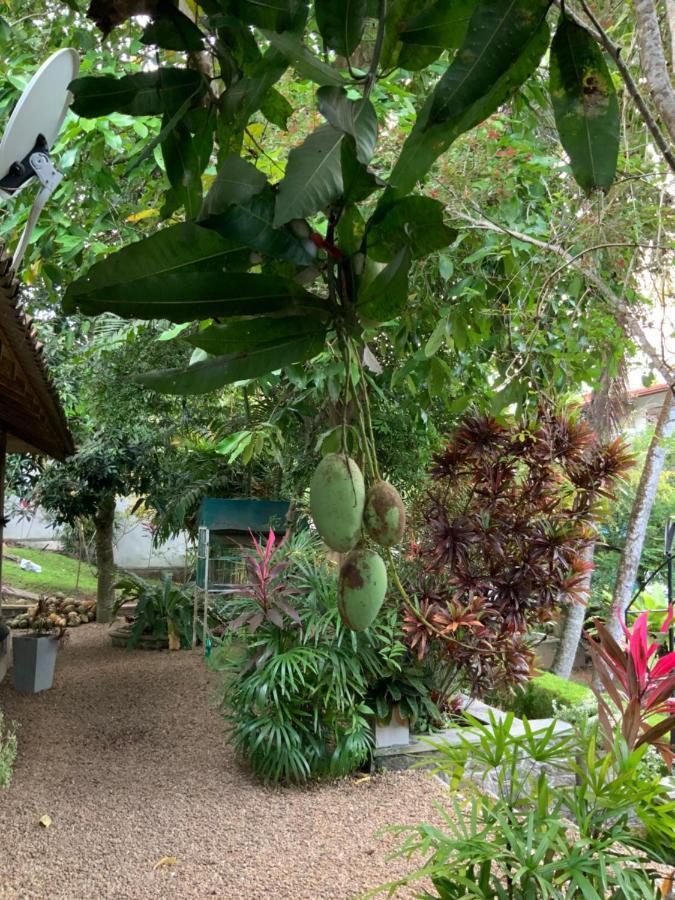 Lali Villa & Fruit Garden Galle Exterior photo